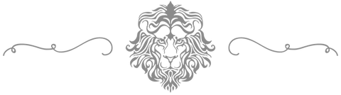 The lion Spacer
