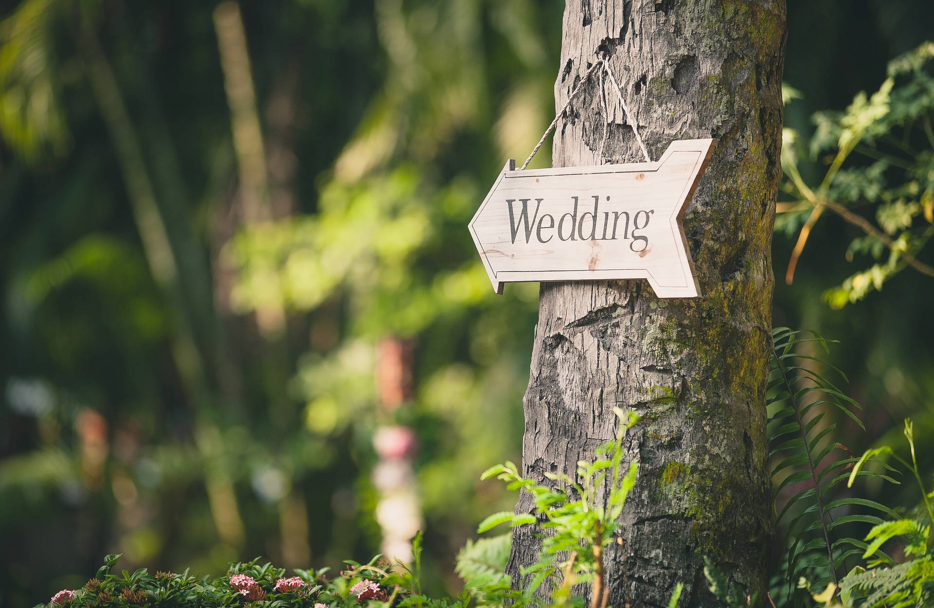 Wedding venues in Derby