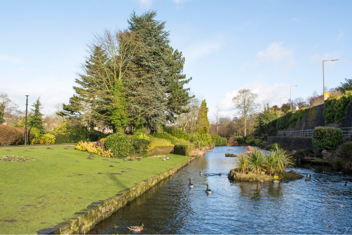 The Belper River Gardens, Derbyshire filled with ducks and wildlife